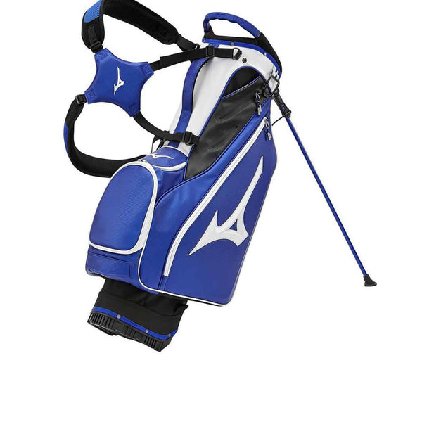 Copy of Curabitur cursus dignis