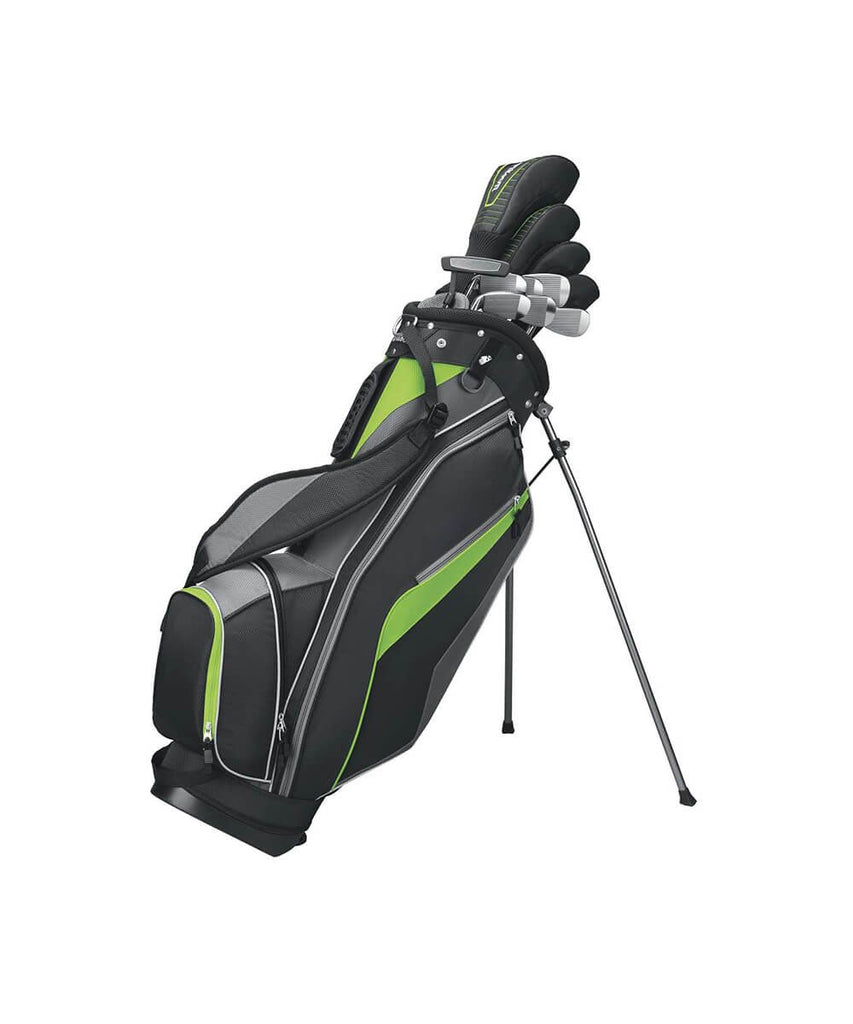 Maximus quam posuere